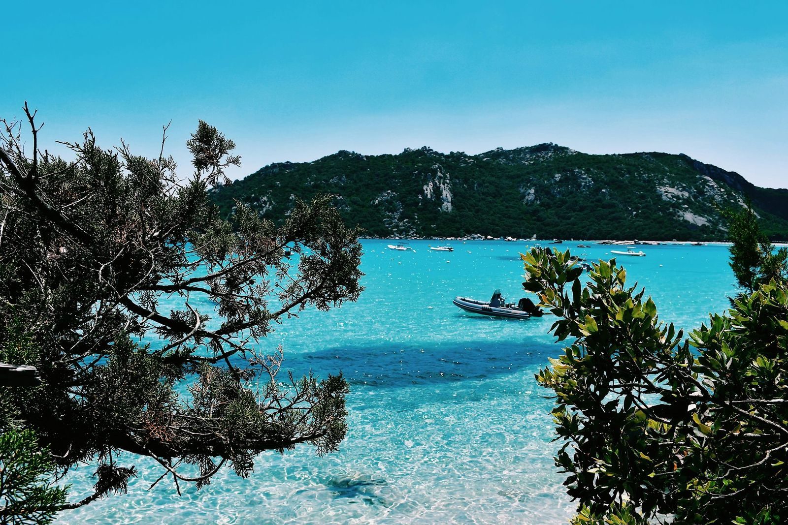 A turquoise bay on the Corsican coast
